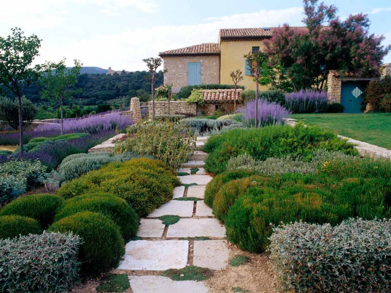 beautiful tall conifers in the landscaping of the cottage