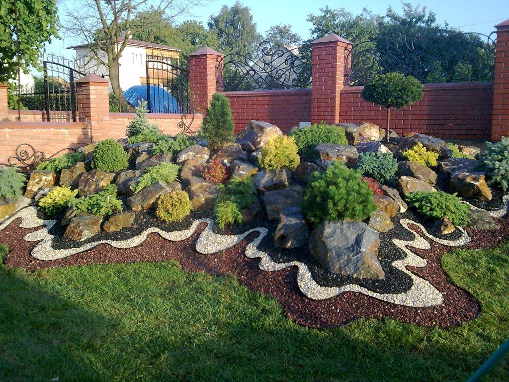 beautiful creeping conifers in the landscaping of a summer cottage