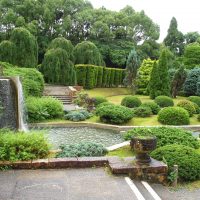 grandi fiori di conifere sottodimensionati nella progettazione del paesaggio di una foto di cottage estivo