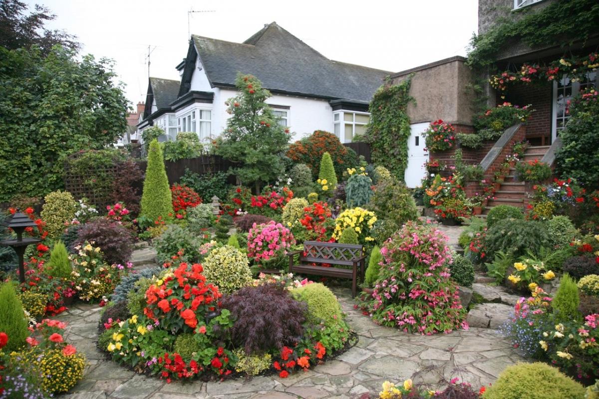 large undersized conifers in the landscaping of the cottage