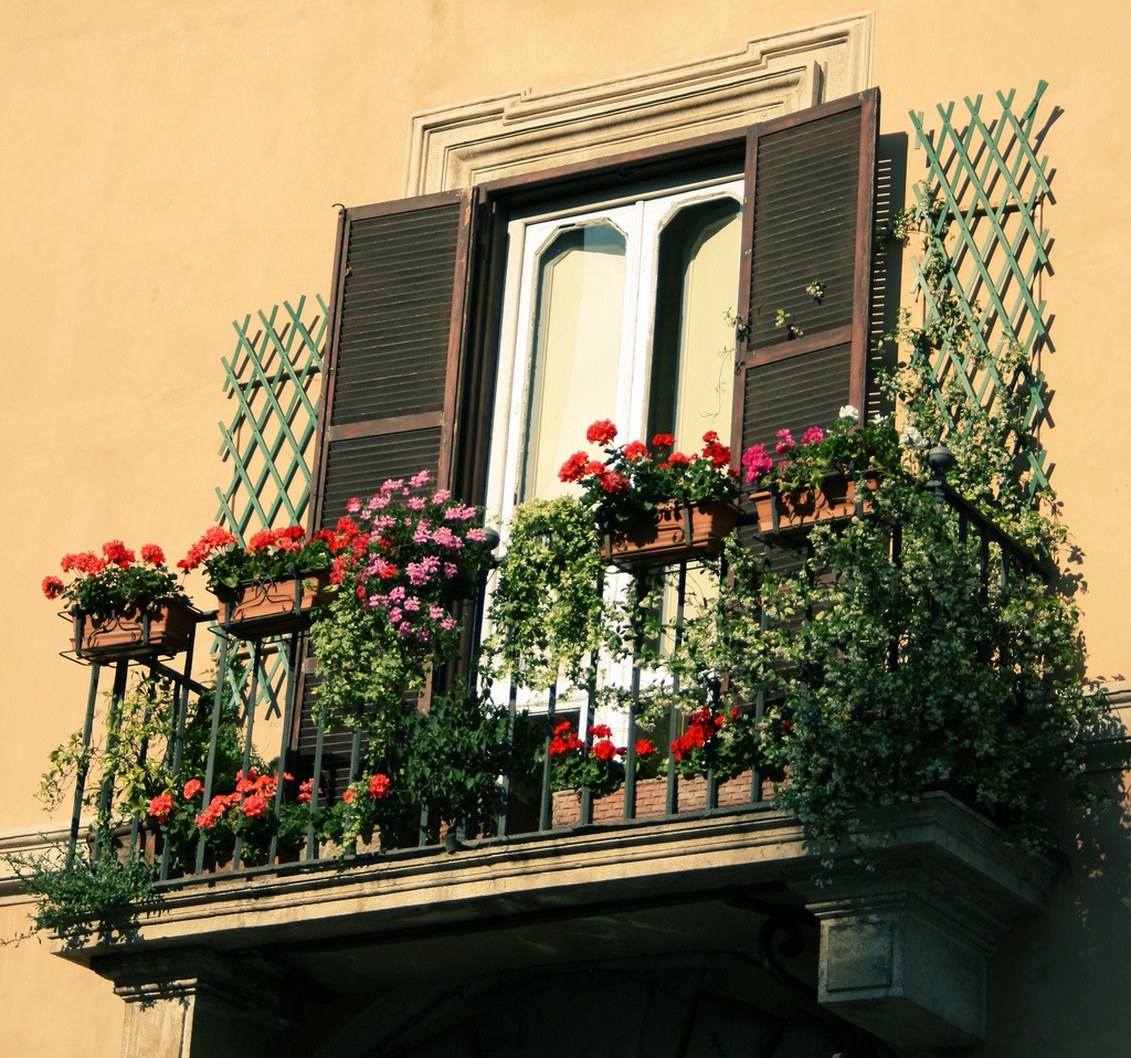 fiori chic all'interno del balcone all'interno di whatnots