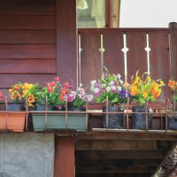 fiori eleganti all'interno del balcone sul quadro di design degli scaffali