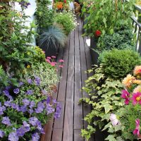 bellissimi fiori all'interno del balcone sull'immagine di esempio dei ponticelli