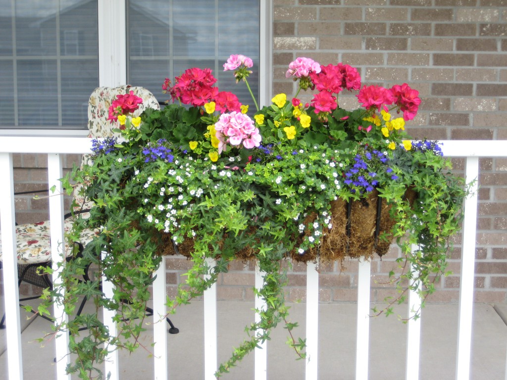 fiori chic su un balcone sull'esempio di whatnots