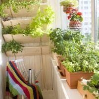 beautiful flowers on the balcony on the shelves design picture