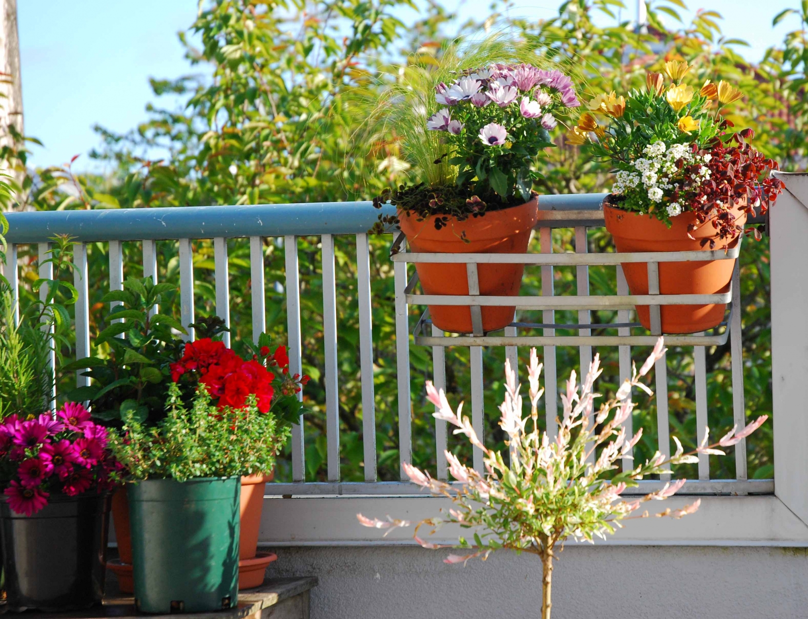 bellissimi fiori all'interno del balcone sul design degli architravi