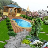 large undersized conifers in the landscape design of a summer cottage