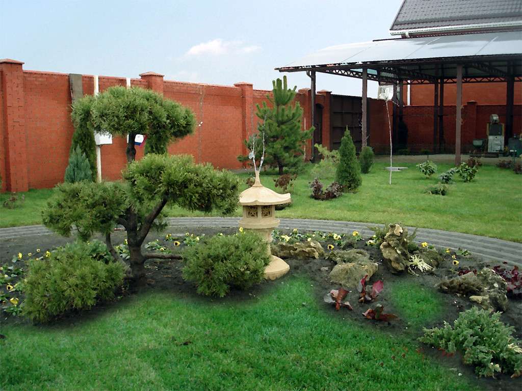 beautiful medium-sized coniferous trees in the landscape design of a summer cottage