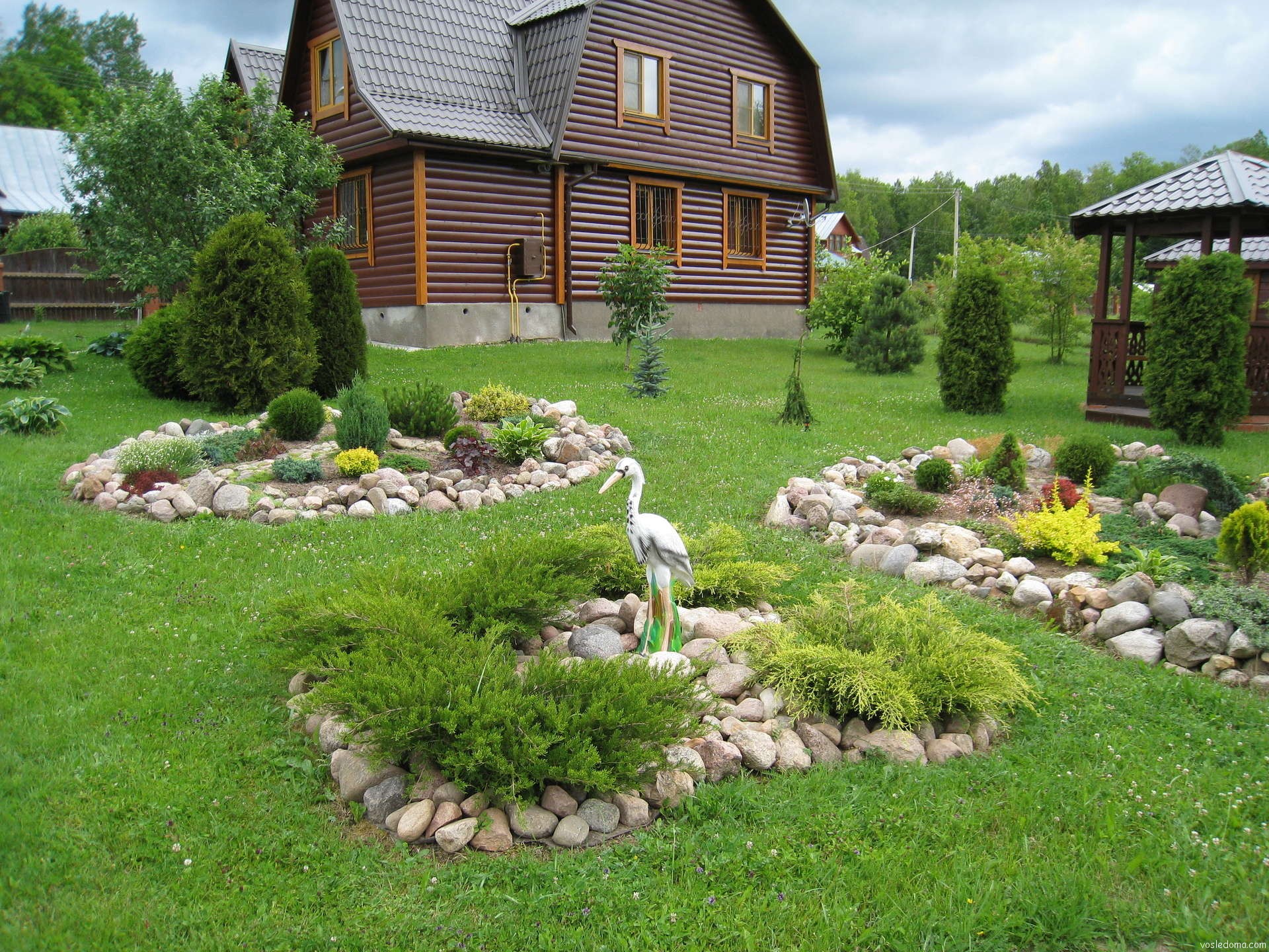 large undersized conifers in the landscaping of a summer cottage