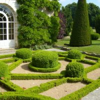 beautiful creeping conifers in the landscaping of the cottage photo