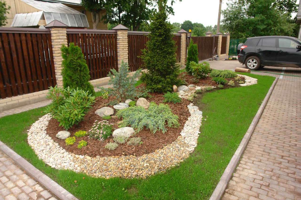 large creeping coniferous flowers in the landscape design of a summer cottage