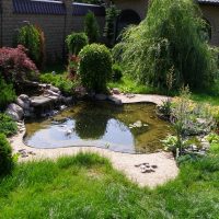 large creeping coniferous flowers in the landscape design of a summer cottage