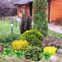 belle conifere sottodimensionate nella progettazione del paesaggio di una foto di cottage estivo