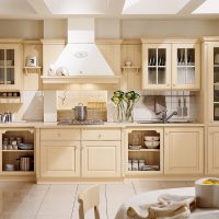 design luminoso della cucina beige nello stile di una foto shabby chic