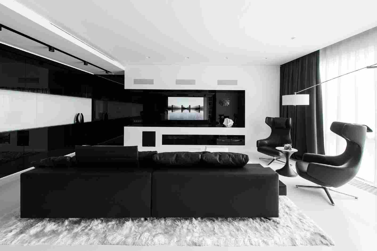 Elegantni dekor dnevne sobe u crno-bijeloj boji