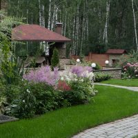 bel aménagement paysager du jardin à l'anglaise avec arbres photo