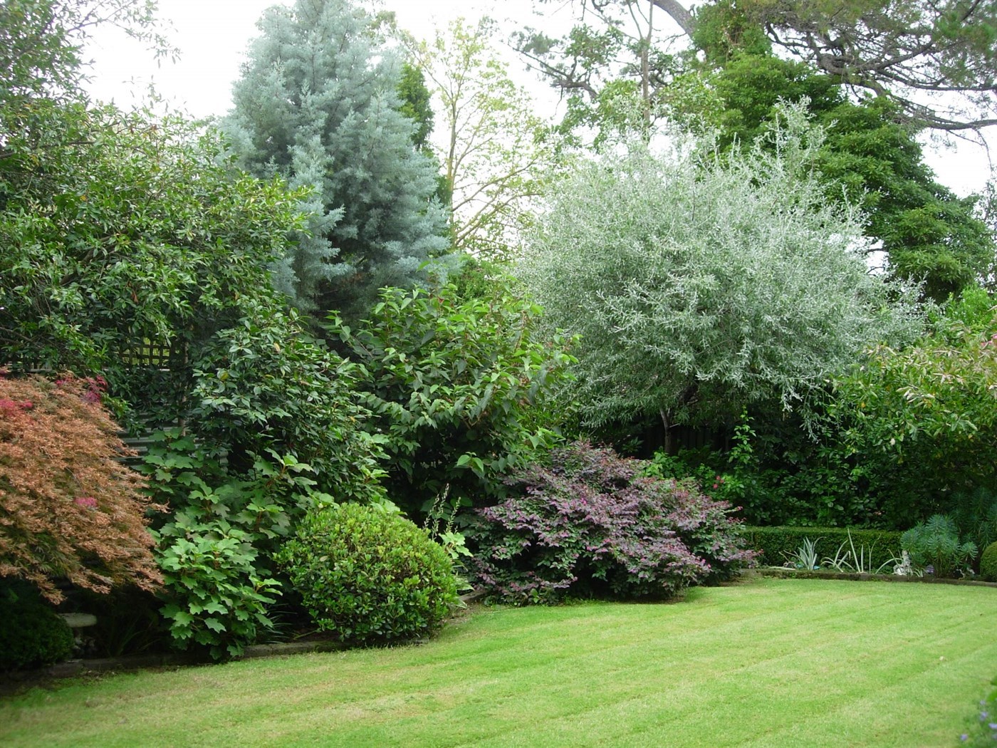 unusual landscaping of a summer cottage in the English style with trees