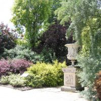 bellissimo paesaggio del cortile in stile inglese con alberi foto