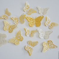 lijepi leptiri u unutrašnjosti fotografije hodnika
