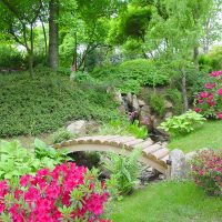 aménagement paysager insolite d'un chalet d'été à l'anglaise avec photo de fleurs