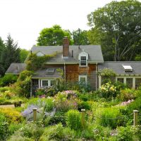 bellissimo paesaggio di un cottage estivo in stile inglese con fiori foto