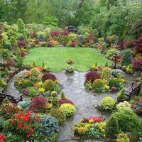 arredamento bellissimo paesaggio del cortile in stile inglese con foto di alberi