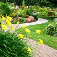 arredamento di paesaggio chic del giardino in stile inglese con foto di alberi