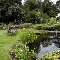 aménagement paysager insolite d'une maison d'été à l'anglaise avec photo de fleurs