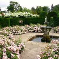 insolita decorazione paesaggistica del giardino in stile inglese con foto di alberi