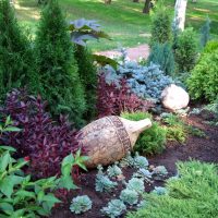 décor de paysage chic du jardin à l'anglaise avec photo d'arbres