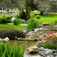 insolita decorazione paesaggistica di un cottage estivo in stile inglese con alberi foto