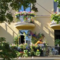 fiori luminosi all'interno del balcone sull'immagine di esempio degli scaffali