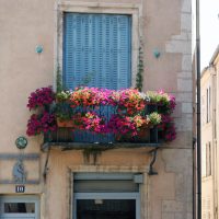 fiori luminosi all'interno del balcone sulla foto di design degli scaffali