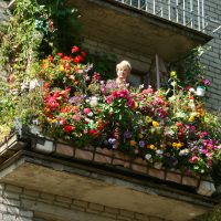 beautiful flowers on the balcony on the jumpers sample photo