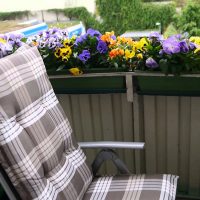 chic flowers on the balcony on the shelves interior photo