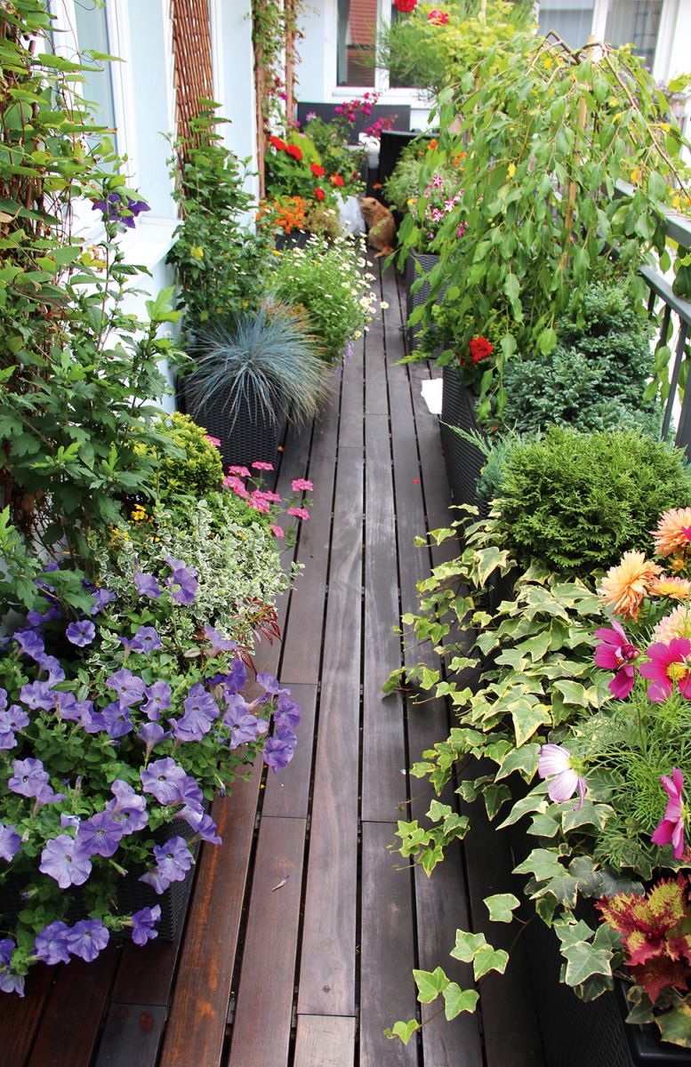 bright flowers in the interior of the balcony on the lintels