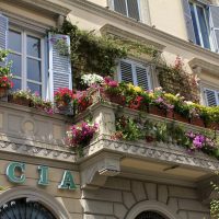 fiori luminosi sul balcone sull'immagine di esempio degli scaffali