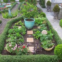 unusual landscape decor of the courtyard in the English style with trees photo