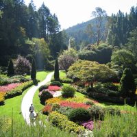 insolita decorazione paesaggistica di una casa estiva in stile inglese con foto di alberi