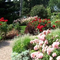 chic landscaping of a summer cottage in the English style with flowers photo