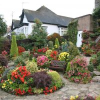 neobičan krajobrazni dekor vrta u engleskom stilu s fotografijom cvijeća