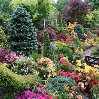 paesaggio elegante del giardino in stile inglese con foto di alberi