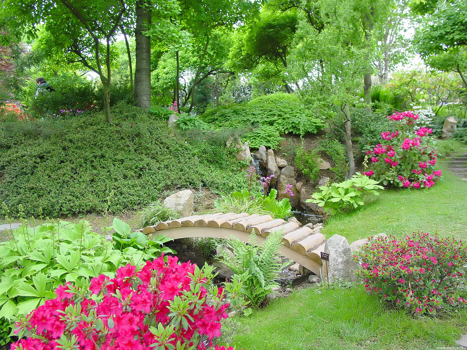 bellissimo paesaggio del giardino in stile inglese con fiori