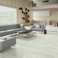 rovere bianco chiaro nel design dell'immagine del corridoio