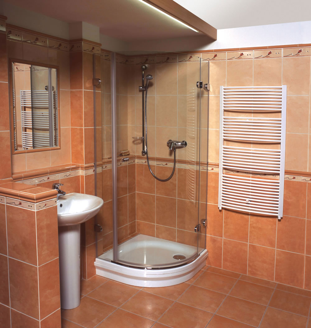 beautiful style of the bathroom with a shower in dark colors