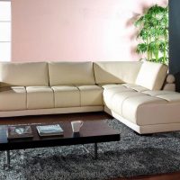 lijepa kutna sofa u slici interijera dnevne sobe