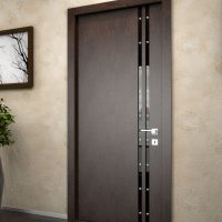 portes sombres en photo de design de cuisine en noyer