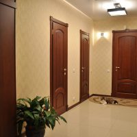 dark doors in the interior of the pine corridor picture