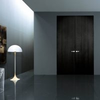 portes sombres dans le style d'un appartement de pin photo