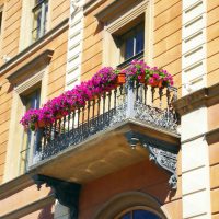 chic flowers in the interior of the balcony on the shelves sample photo